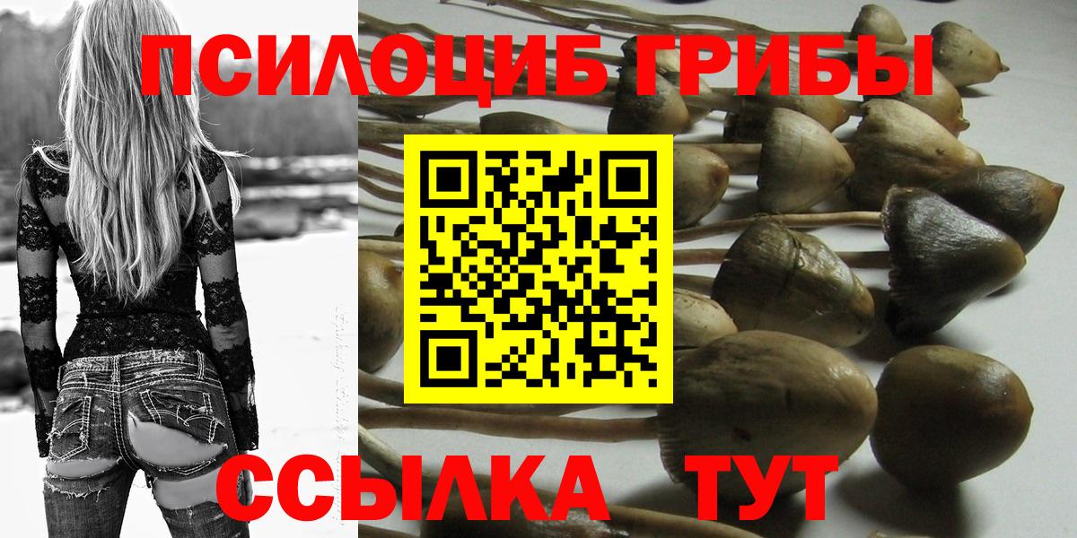 Псилоцибиновые грибы мицелий Десногорск